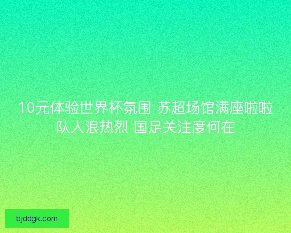 10元体验世界杯氛围 苏超场馆满座啦啦队人浪热烈 国足关注度何在