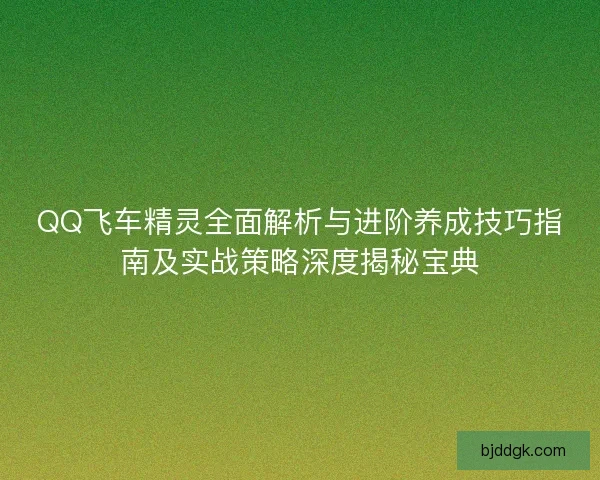 QQ飞车精灵全面解析与进阶养成技巧指南及实战策略深度揭秘宝典