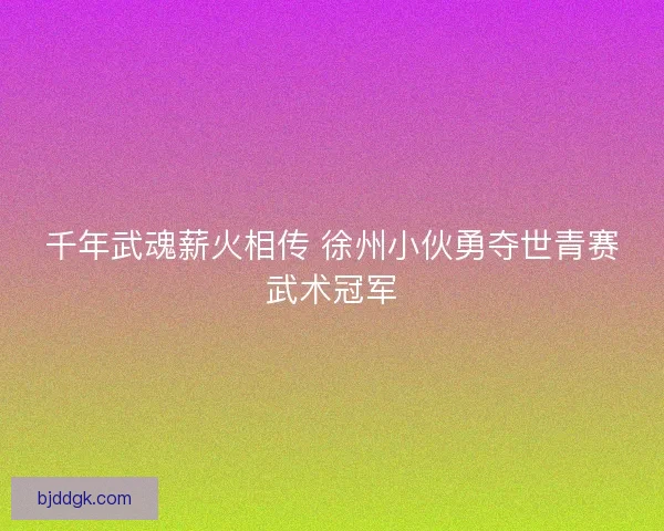 千年武魂薪火相传 徐州小伙勇夺世青赛武术冠军